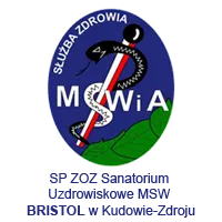 mswia_kudowa_logo